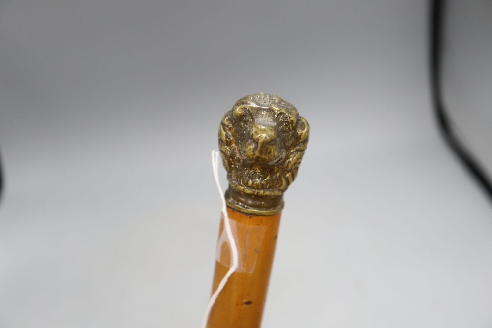 A walking cane with brass dogs head handle, c.1860, length 84cm